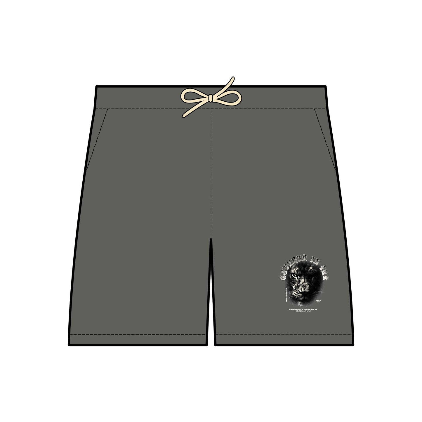 Lion Pride Fleece Shorts